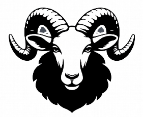 Black Sheep Motorcycle Parts